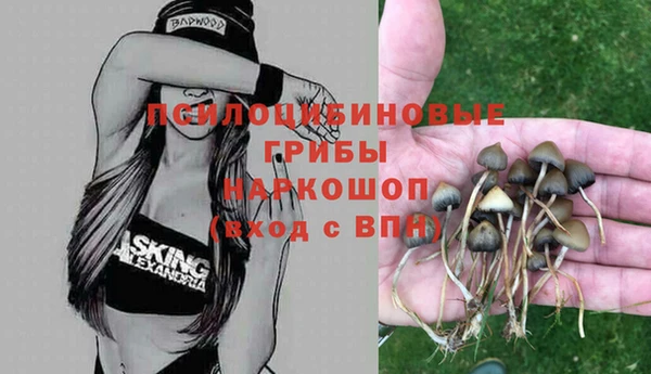 первитин Белокуриха